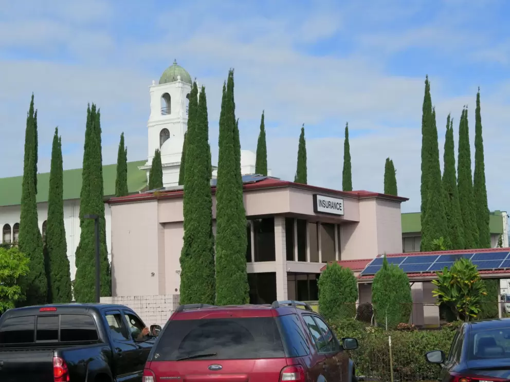 Italian cypress trees outside Honpa Hongwanji Buddhist Temple, as seen from Starbucks on Kilauea Ave. 