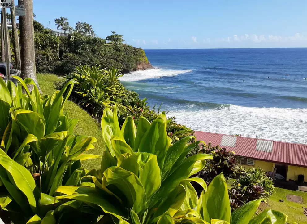 Paradise found!