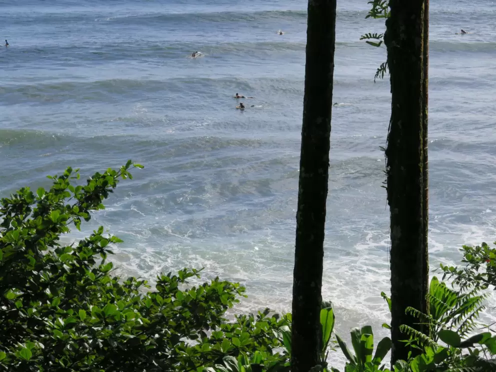 Looking down at the surfers from above.