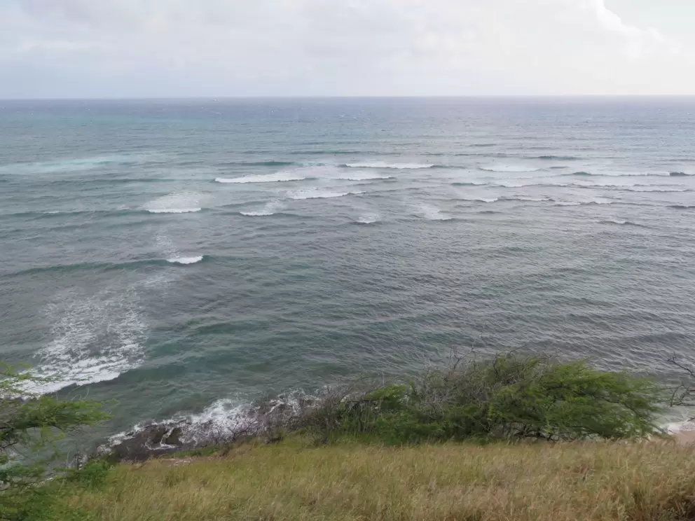 Looking out to sea...