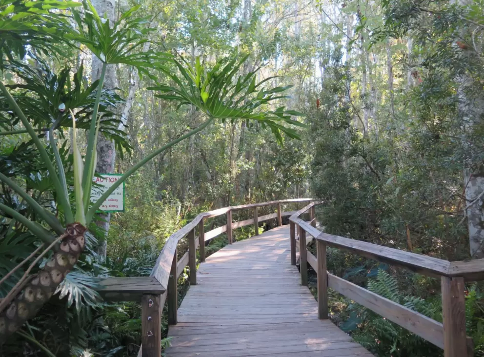 The entrance to the Swamp Walk.