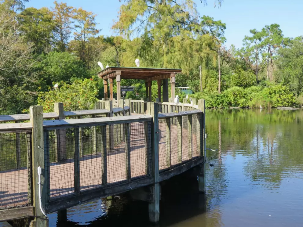 Boardwalk over the marsh.