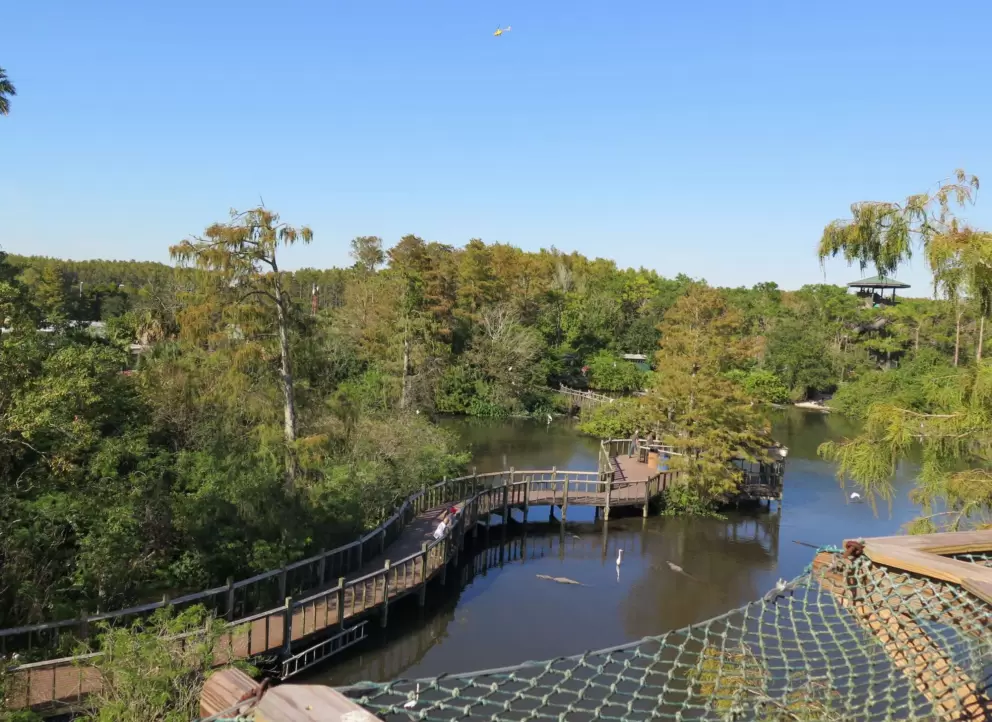 View from the top of the observation tower.