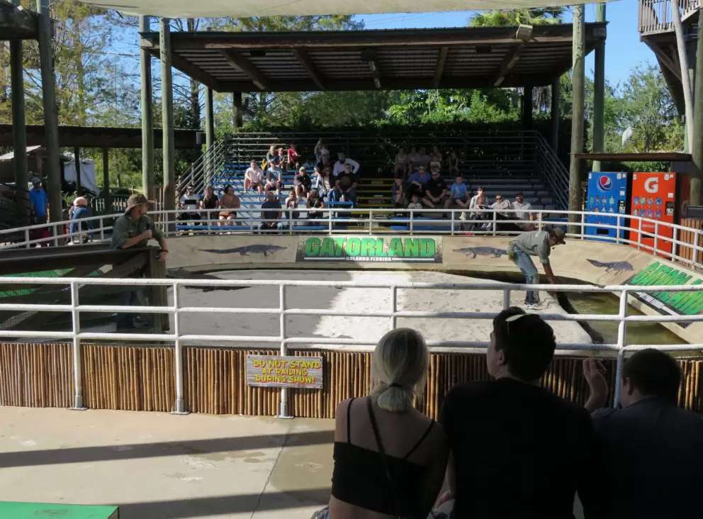 Watching the Alligators: Legends of the Swamp show.