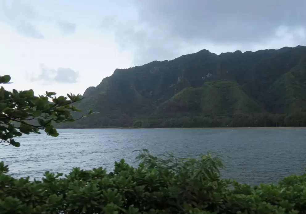 Passing a bay on the gorgeous drive to La'ie.