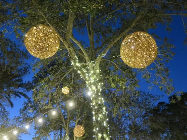 Lit-up balls in the trees at Christmastime.