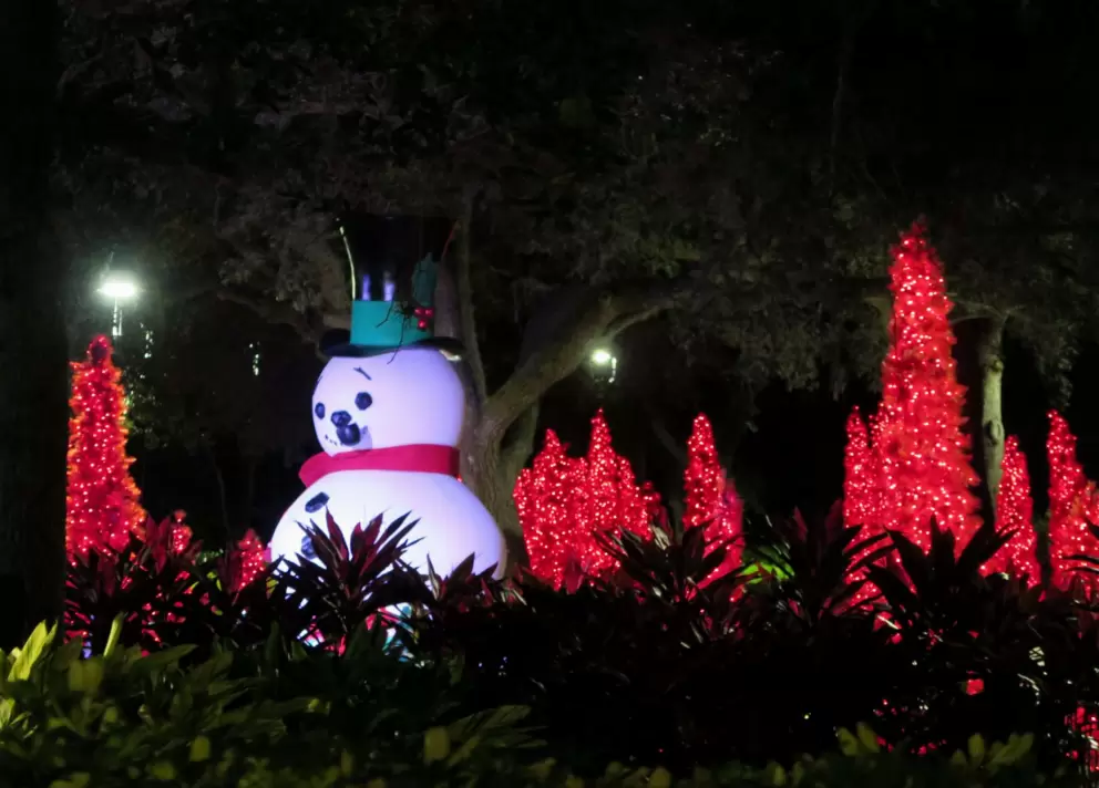 Giant snowman and red lit-up trees in November.