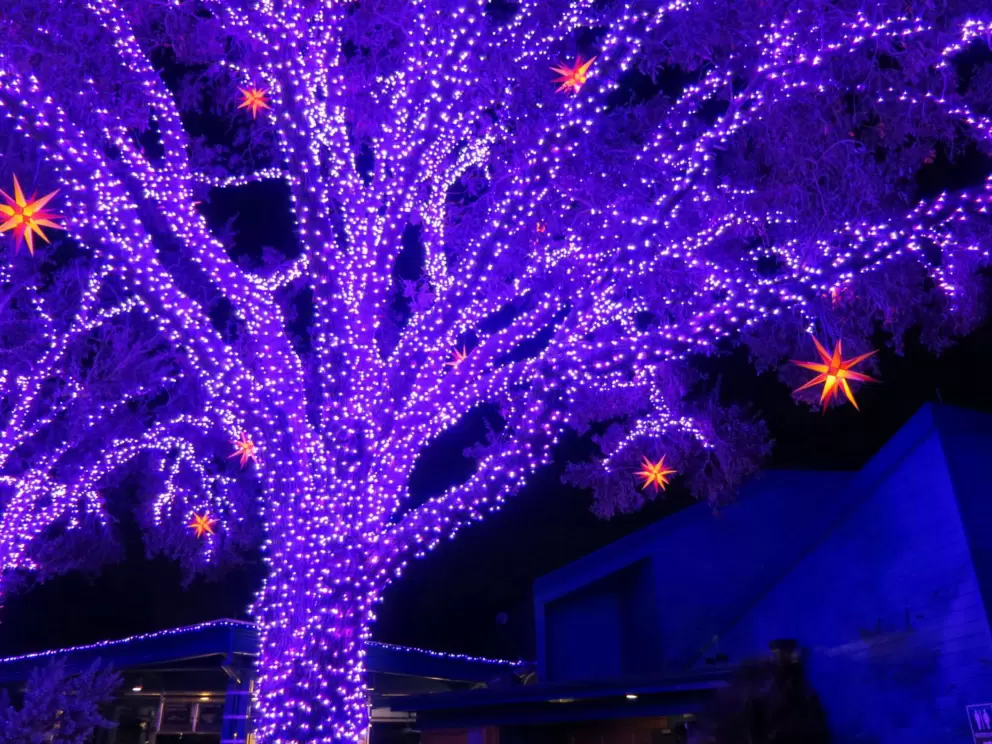 I love this purple tree with stars!