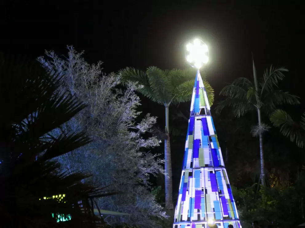 Christmas tree at SeaWorld.