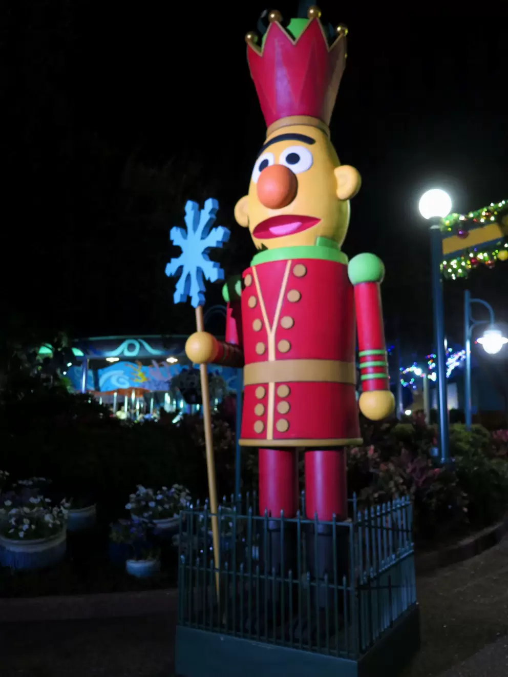 Ernie at Christmastime!