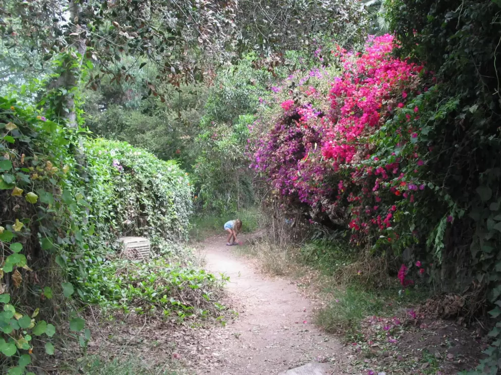 The blissful path to Hammonds Beach.