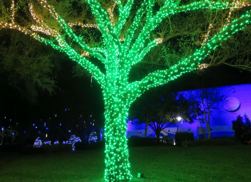 Green tree.