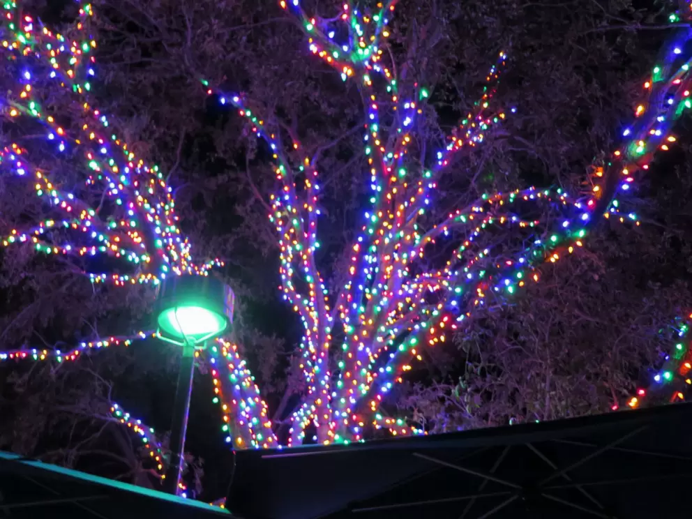 Multi-colored lights. 