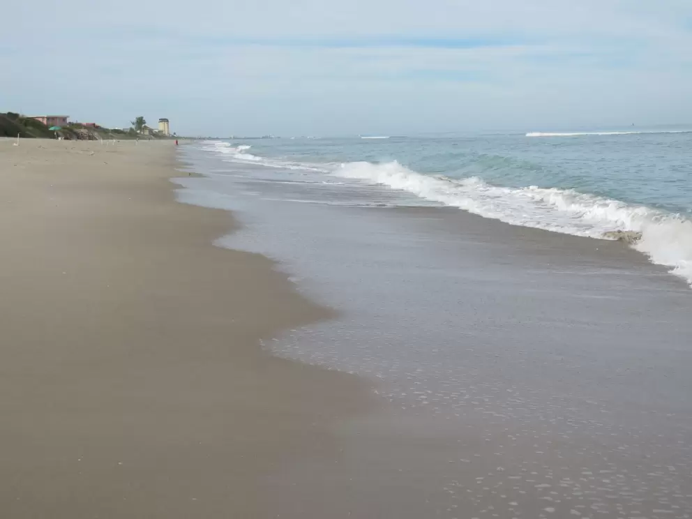 Shoreline.