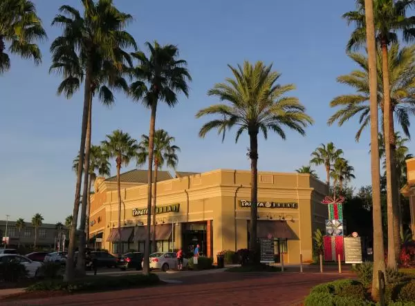 Palm trees outside Panera Bread.