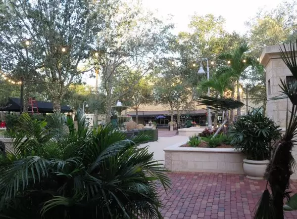 The fountain area is filled with plants.