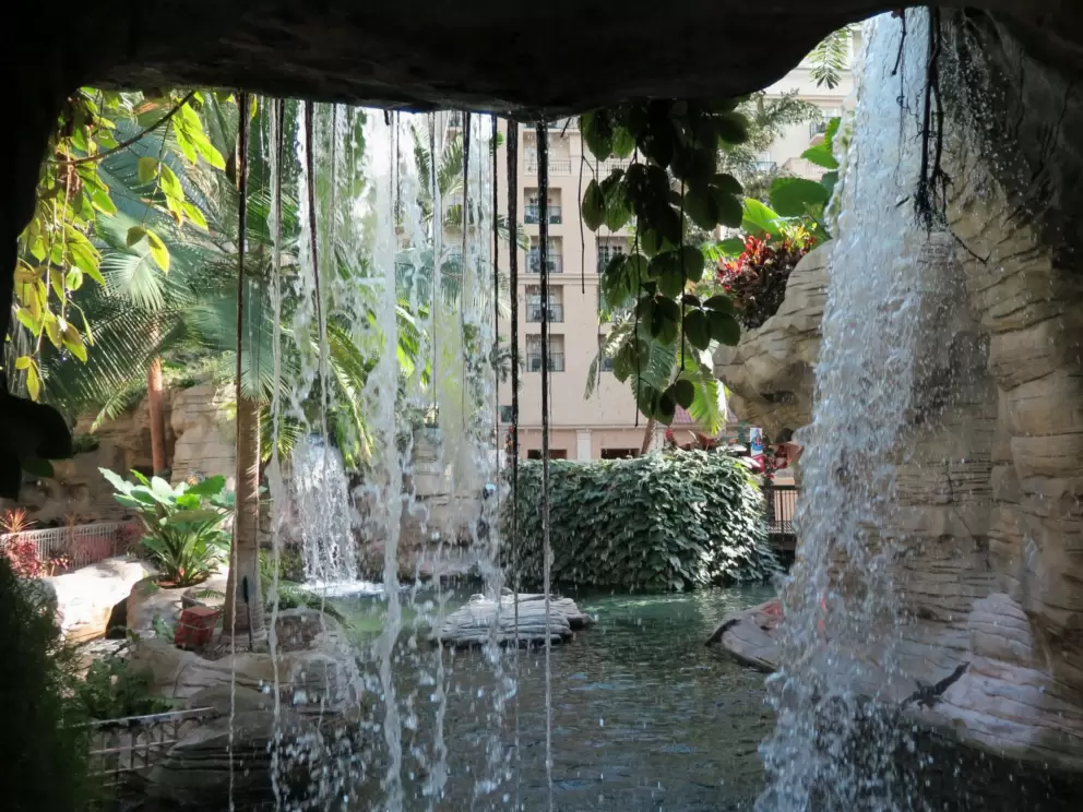 Waterfall and hanging vines.