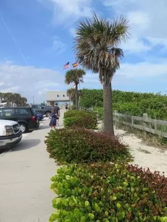 The parking lot has flowers and palms.