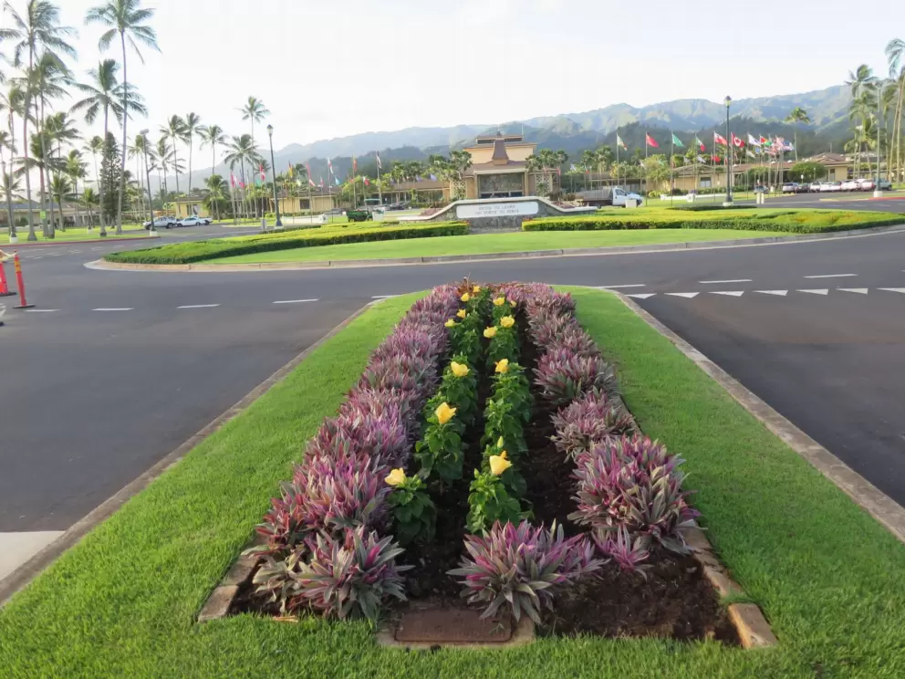 Flower beds at the campus entrance road.
