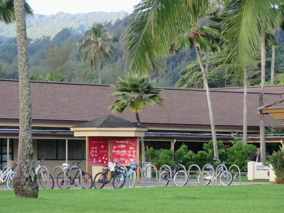 Bikes, palms, and layers of beautiful mountains.