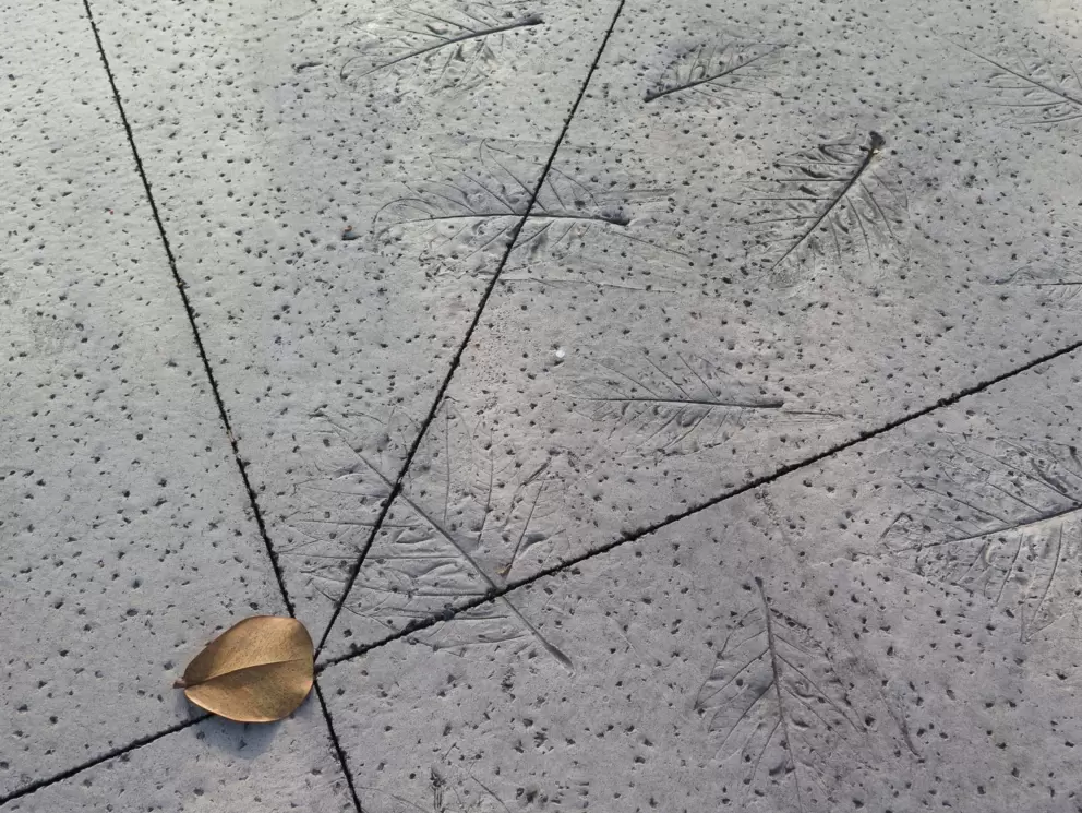Leaf patterns in the cement.