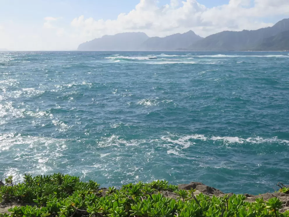The gorgeous motion in the water.