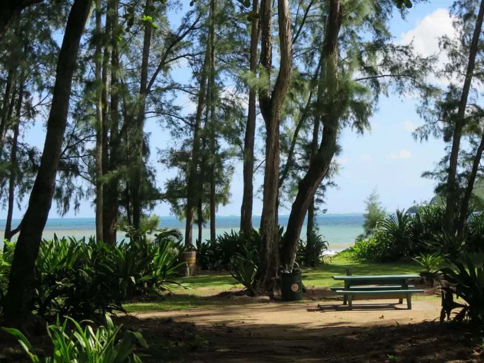 Picnic table in a beach park.