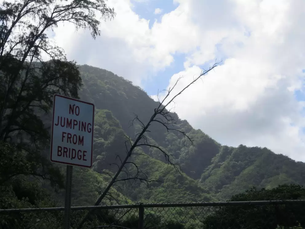 Beautiful mountains by the road.