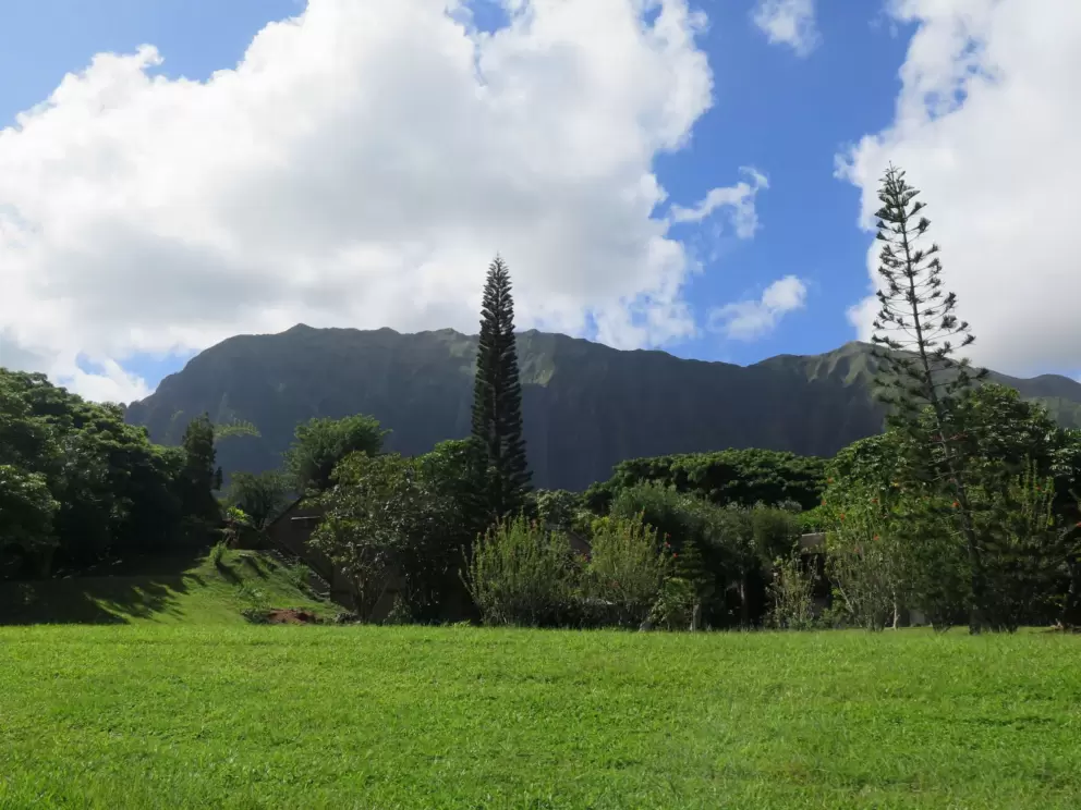 Pretty views as you approach from the Kaneohe side.