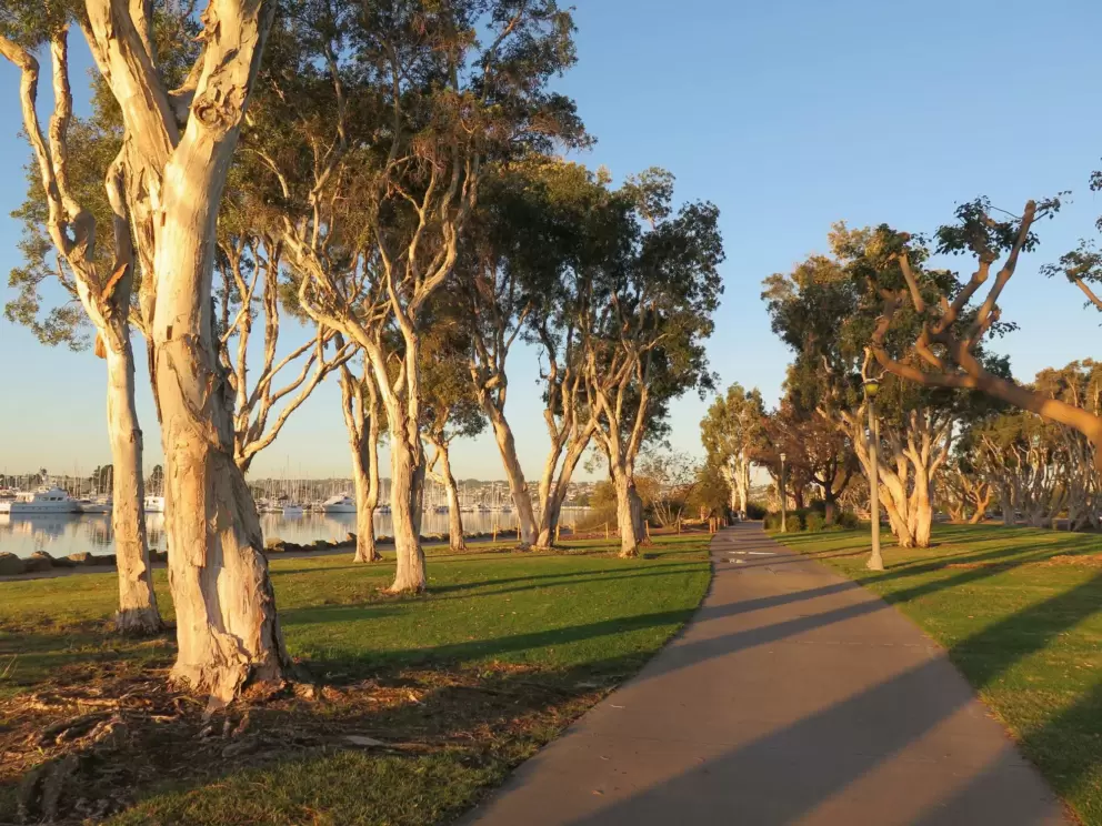 Wide path through beautiful scenery!