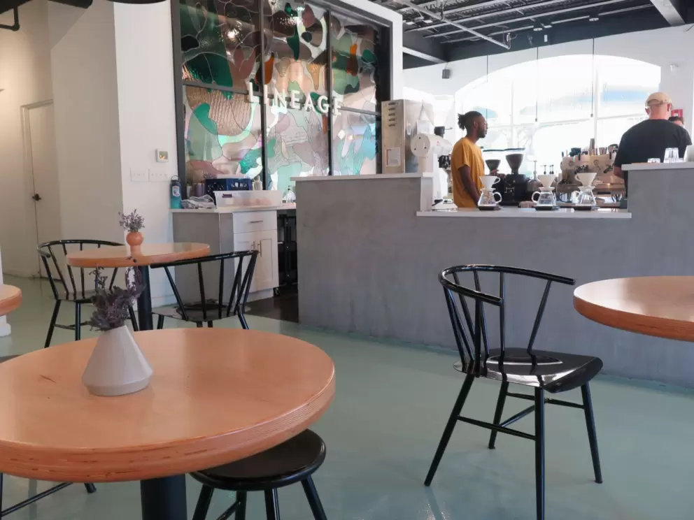 Lineage Coffee, near Loch Haven Park. 