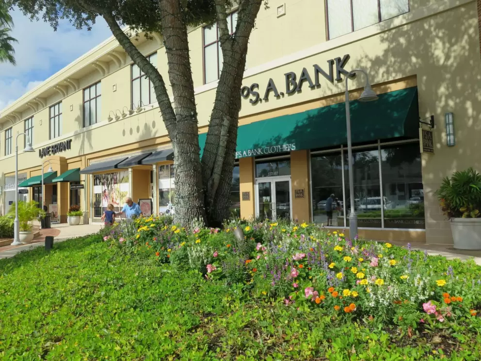 Flowers by the stores.