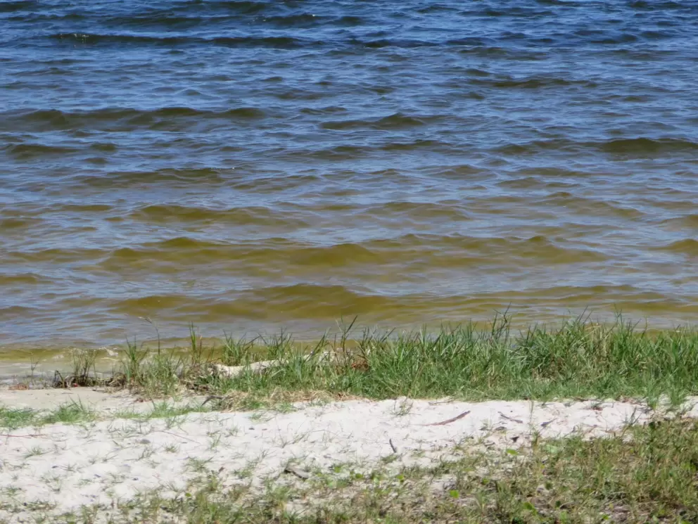The water is smelly and brown.