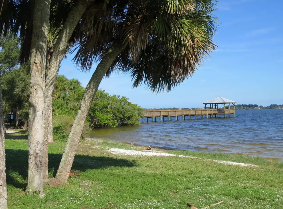 Grass and wooden pier.