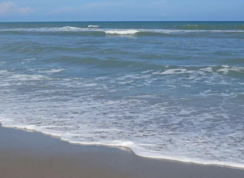 Beautiful wave rolling in.