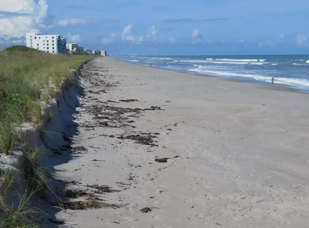 Condos, small dunes, and wide expanse of beach.
