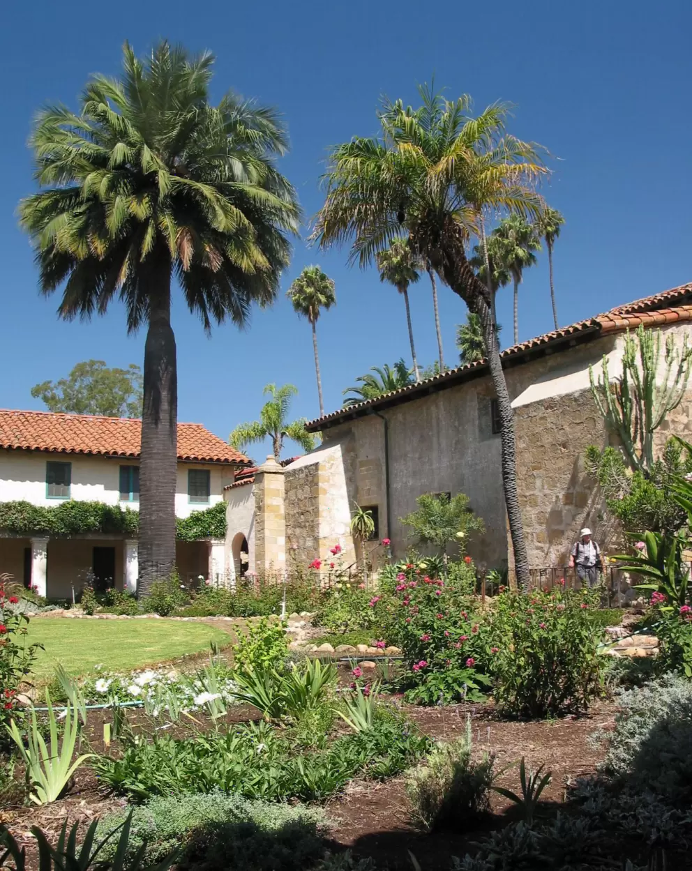 Courtyard gardens in the back of the mission- gorgeous palms.