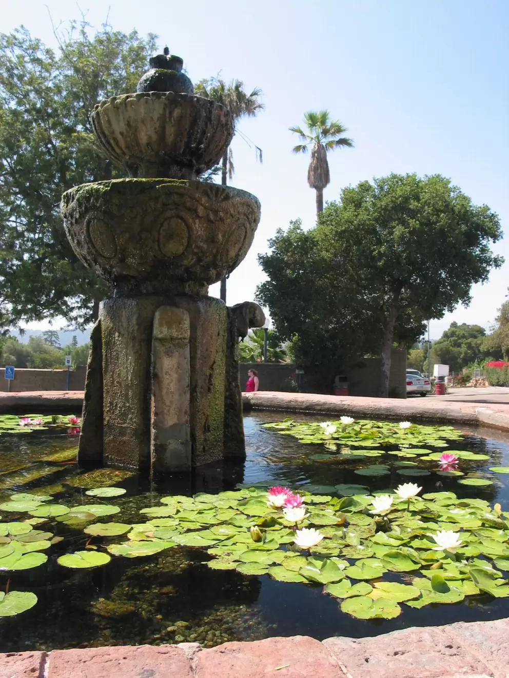 Fountain with lilies in front of the mission.