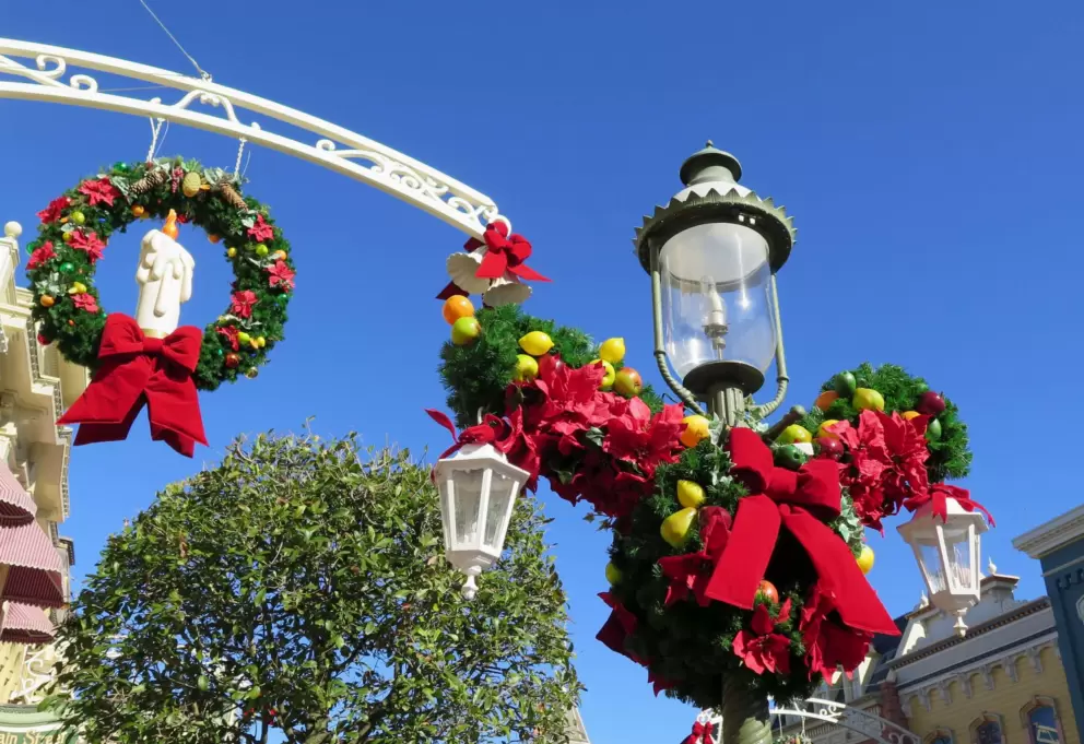 I love these Christmas decorations with fruit!