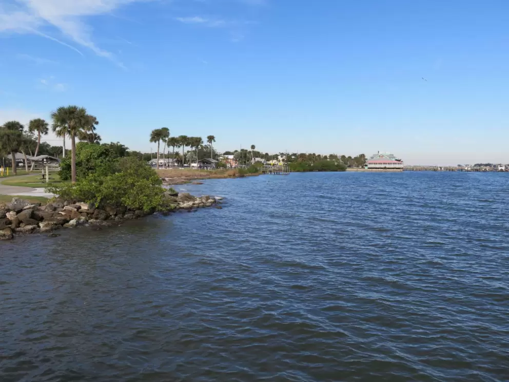 Looking north along the river banks.