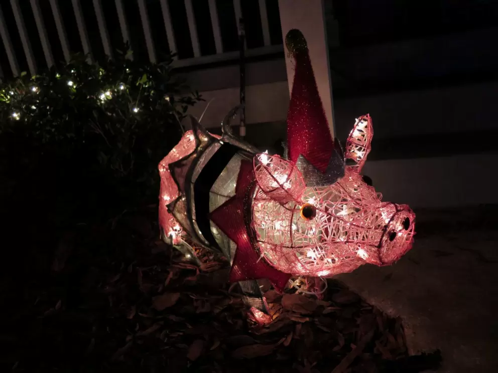 Pig decoration.