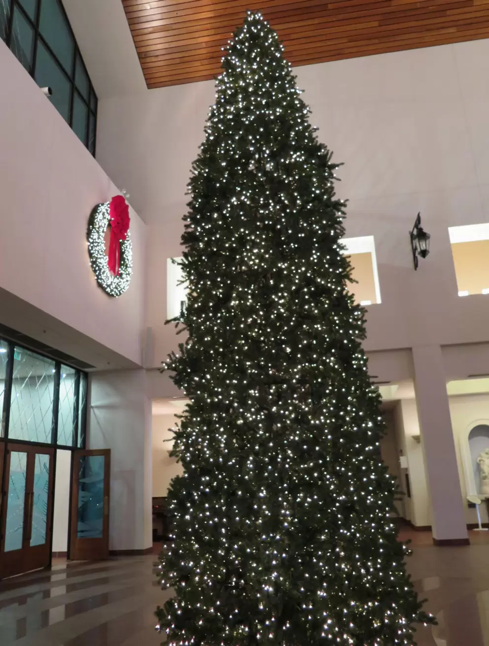 Christmas tree in the foyer.
