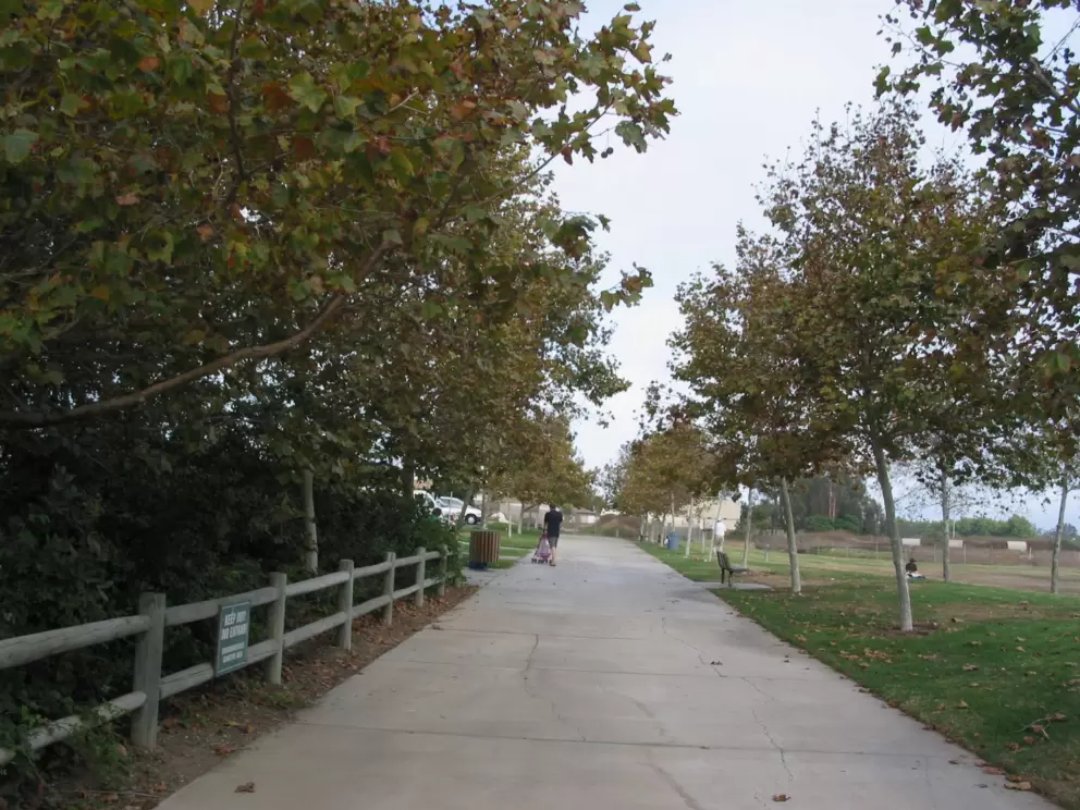 There are many lovely deciduous trees at Girsh Park. 