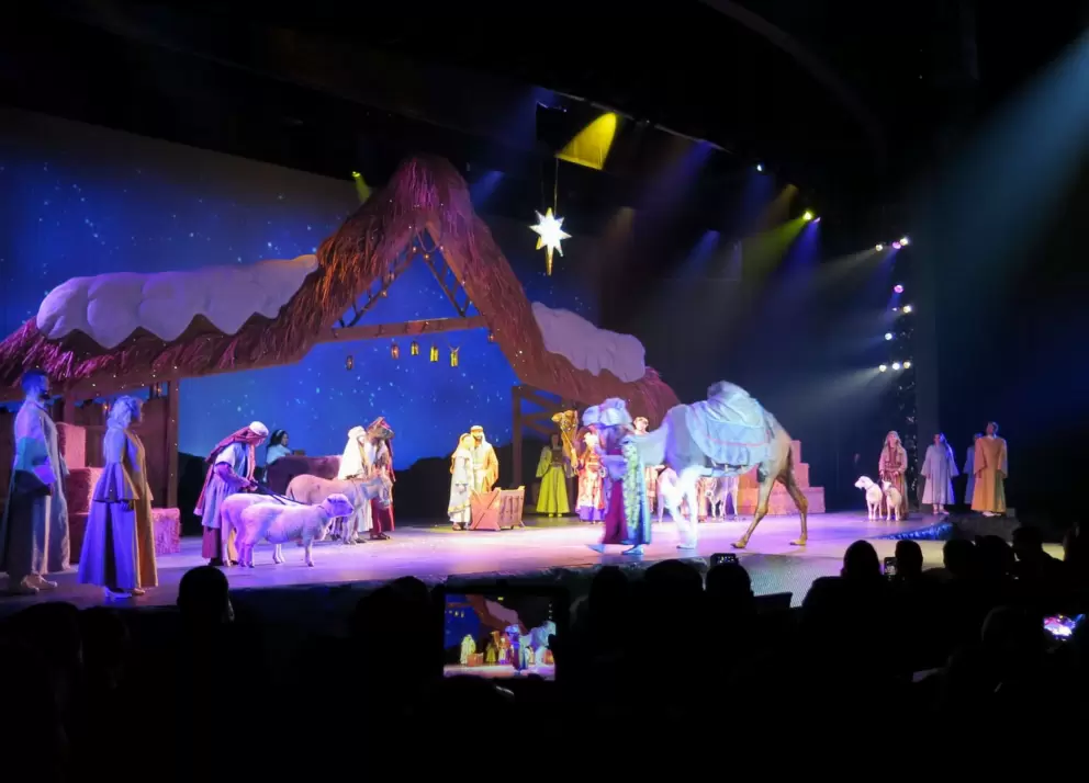 A camel comes on stage, in O Wondrous Night.