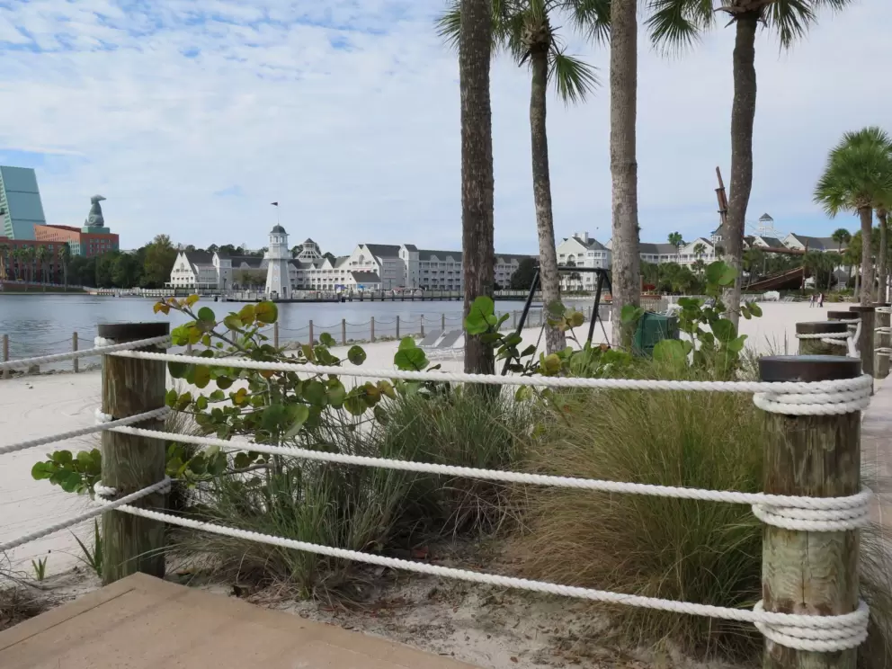 Sea grape bushes by the beach area.