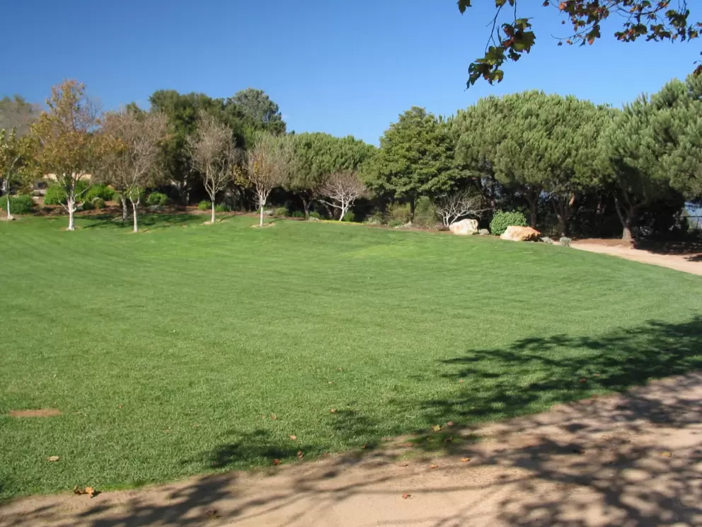 Picnic area with grassy knolls, halfway up George Bliss Dr. 