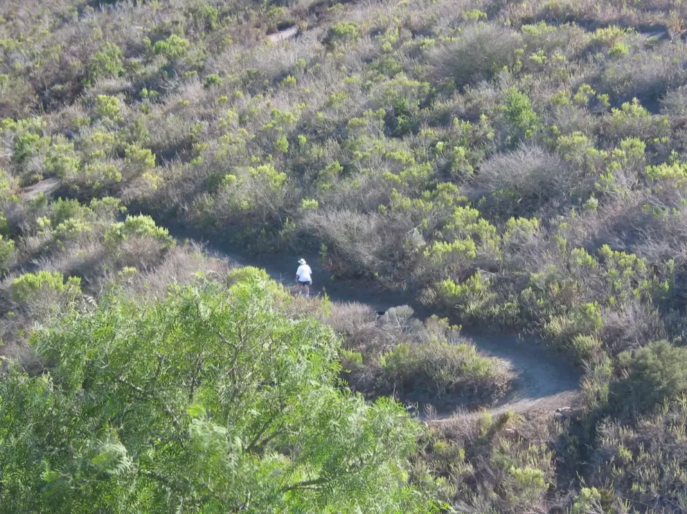 Man taking his dog for a hike on the off-leash trail.