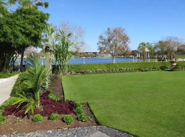Lawn with cabbage around the edge.