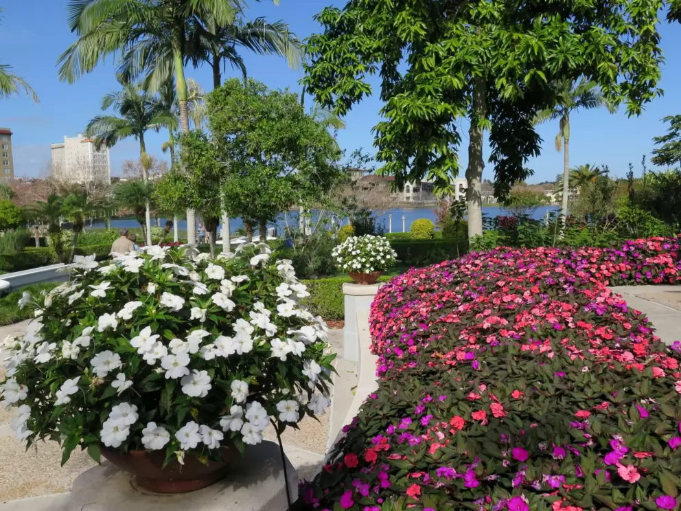 Flowers galore!