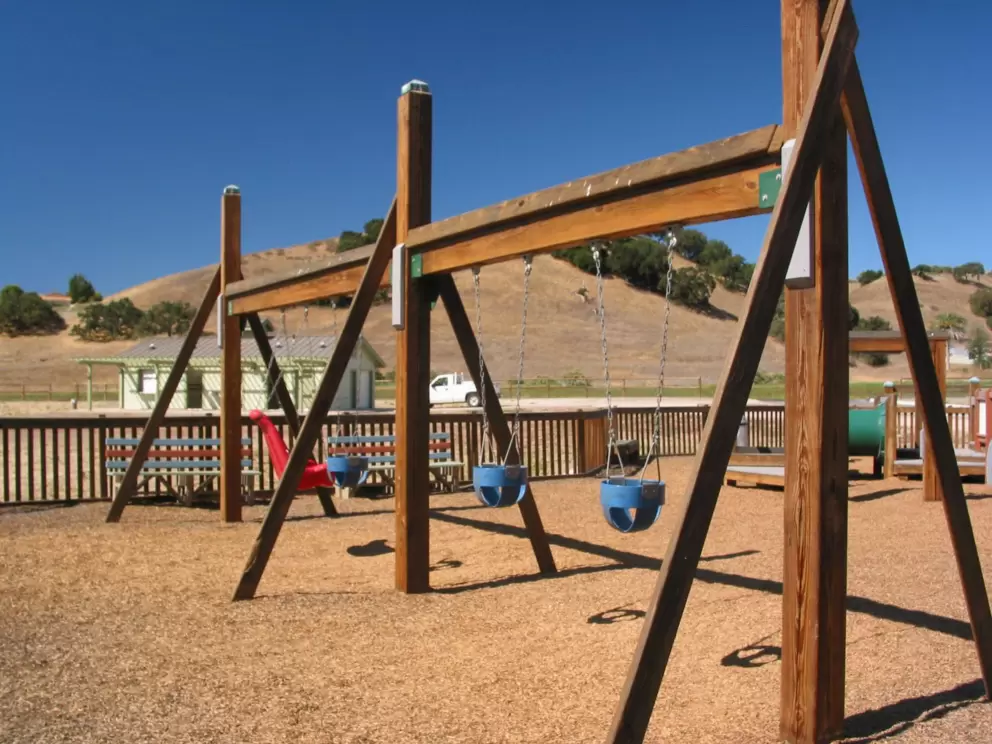 Baby swings with a view.